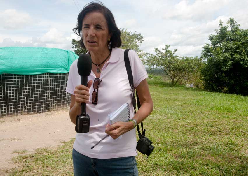 Defensoría colombiana preocupada por agresiones a prensa en Catatumbo