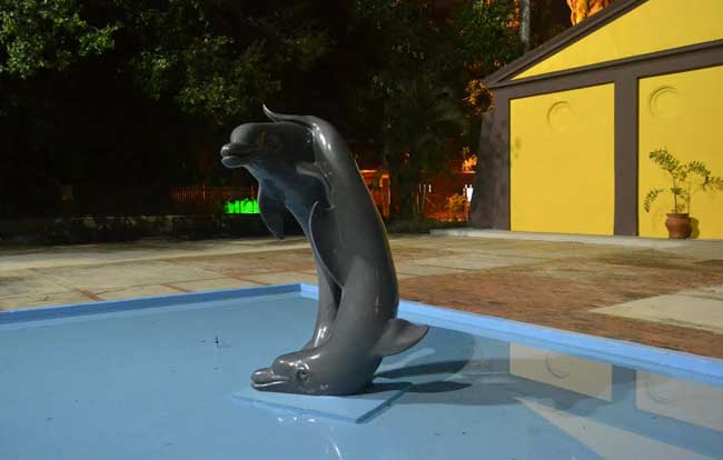 Acuario de Valencia se quedó sin Zeus