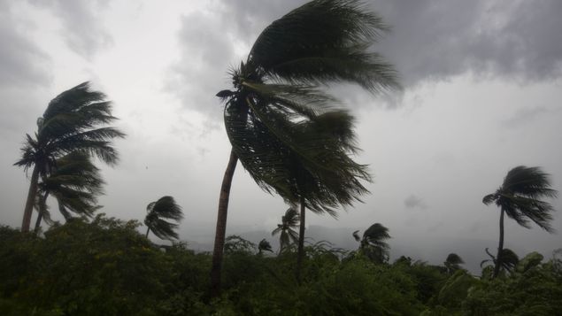 Matthew con categoría 4 obligó a evacuación en zonas de Florida