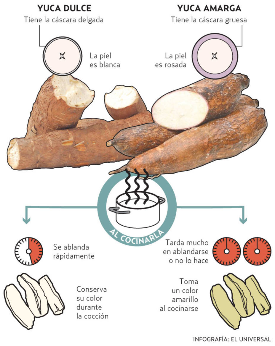 Reconocer el aspecto de una yuca amarga puede salvar la vida #CorreLVoz