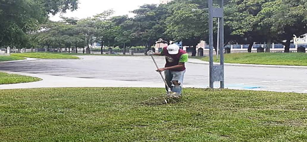 Carabobo Te Quiero desplegó jornadas de limpieza  en parques “Negra Hipólita” y “Recreacional Sur”