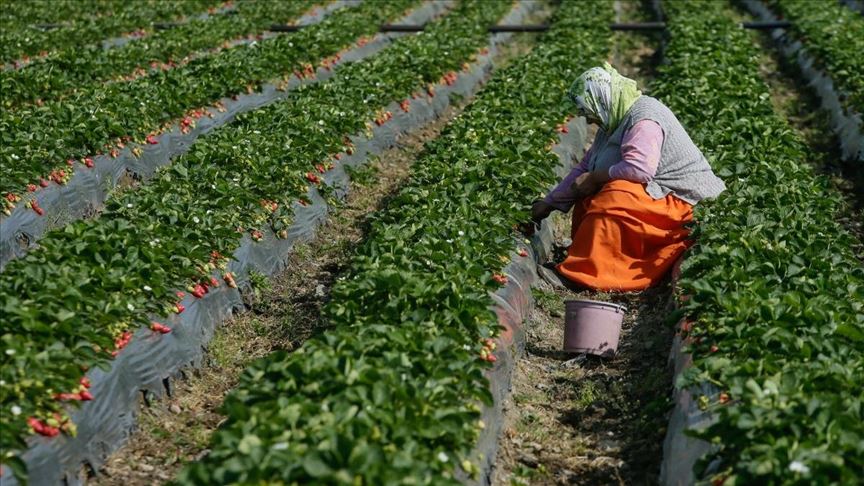 América Latina y el Caribe celebrará la 37 Conferencia Regional de la FAO