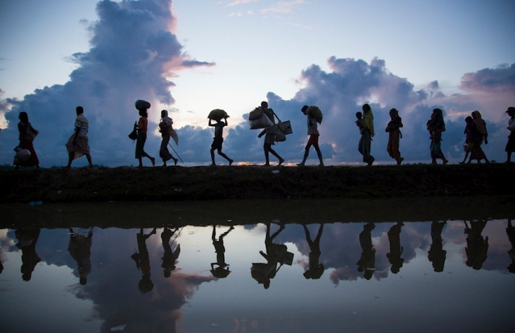 ¿Cómo el agua influye en los movimientos migratorios? Por Pablo Escribano